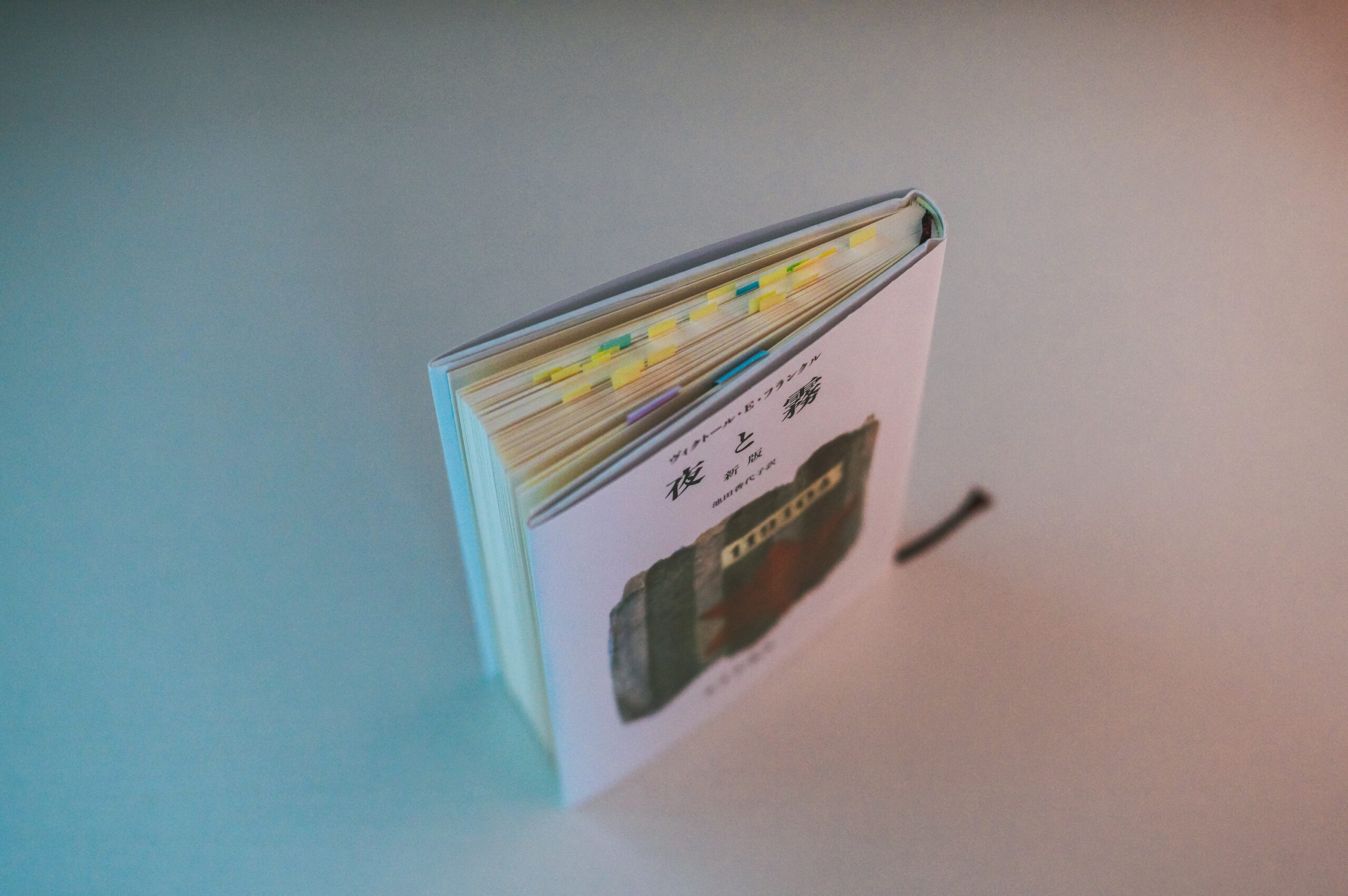 夜と霧を読んで